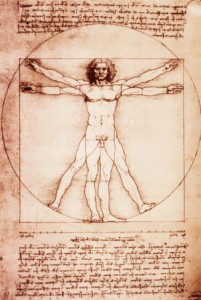 Leonardo Da Vincin Vitruviuksen mies